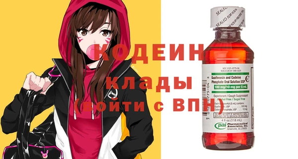 гашик Арсеньев
