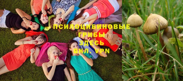 гашик Арсеньев