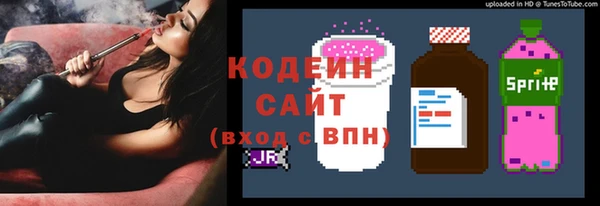 гашик Арсеньев