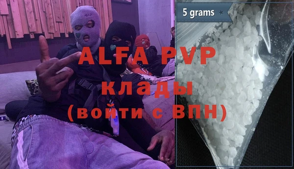 гашик Арсеньев