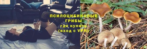 гашик Арсеньев