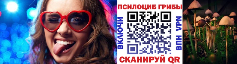 Галлюциногенные грибы Psilocybe  Новокубанск 